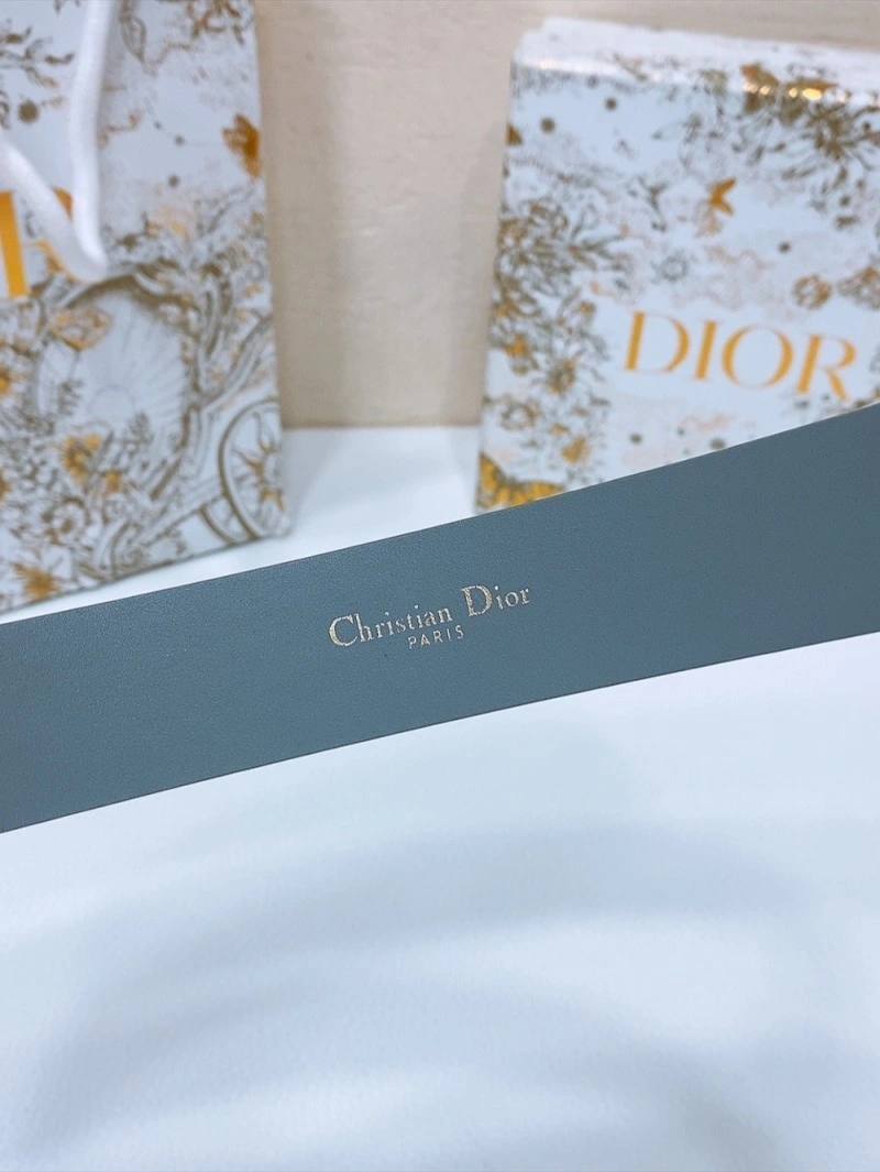 Christian Dior Belts Sustainable 284533