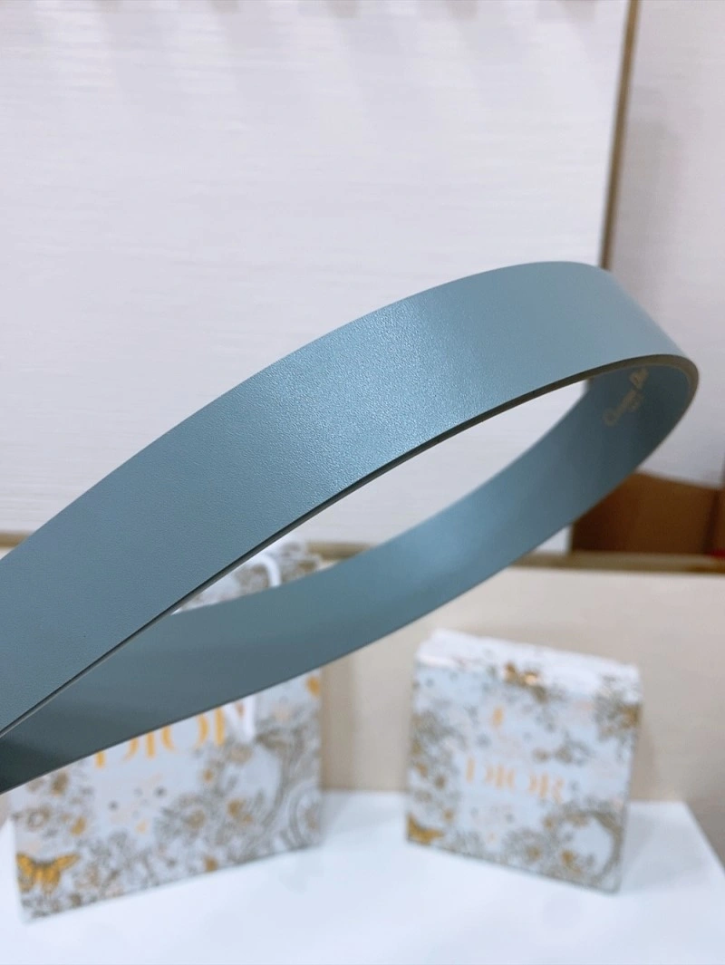 Christian Dior Belts Sustainable 284533