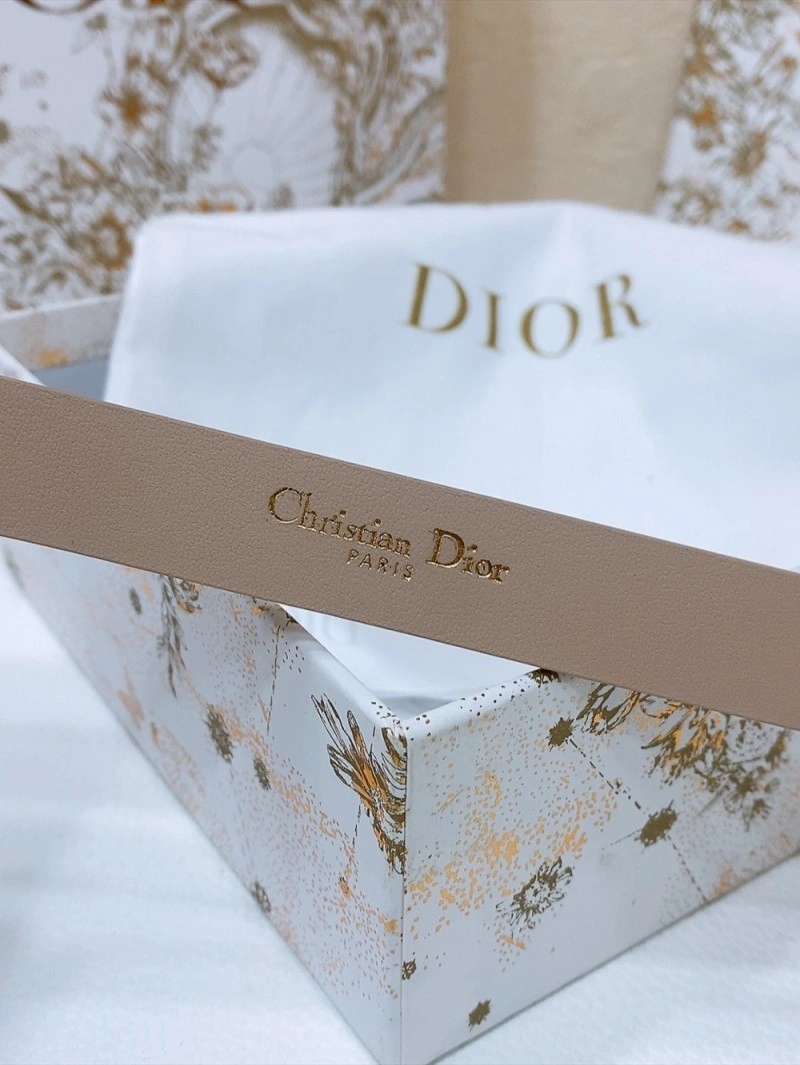 Christian Dior Belts SmoothTexture 284526