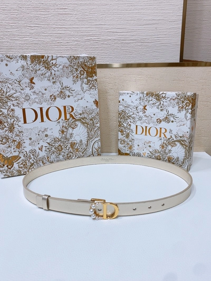 Packable Christian Dior Belts 284523