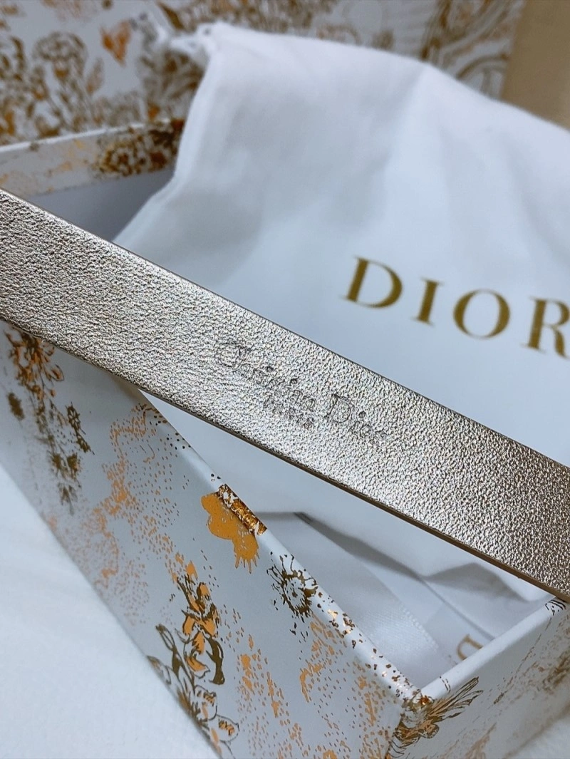 Packable Christian Dior Belts 284523