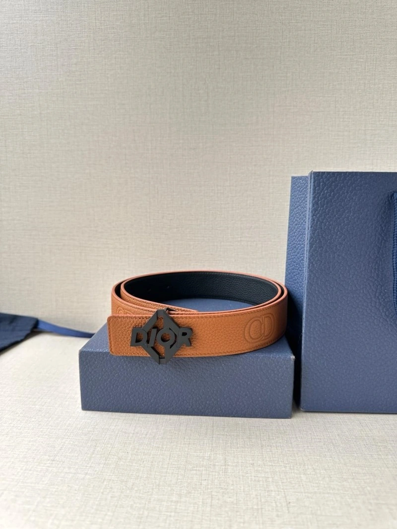 WellDesigned Christian Dior Belts 284507
