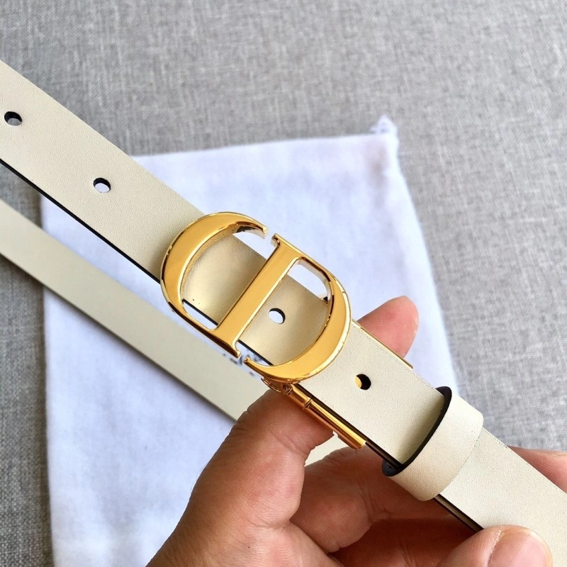 ZipUp Christian Dior Belts 284480
