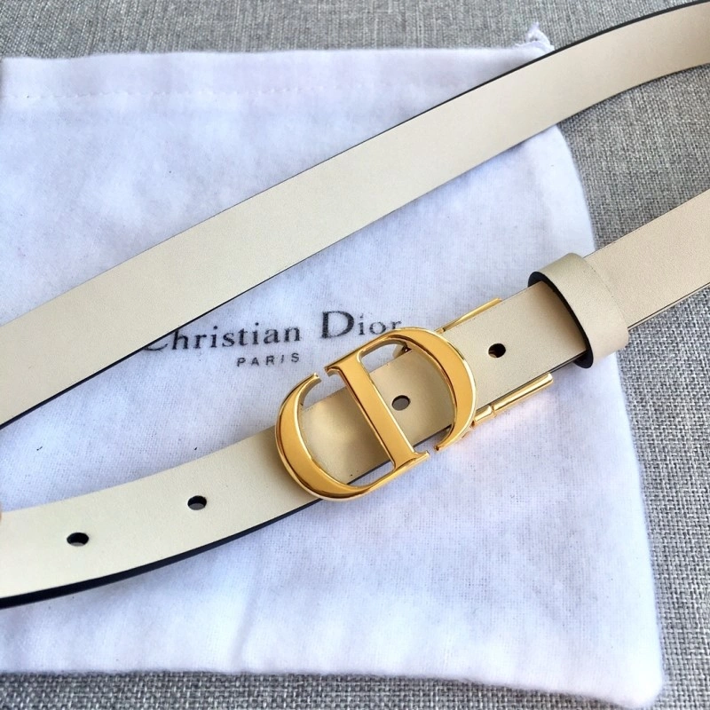ZipUp Christian Dior Belts 284480