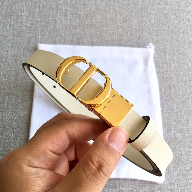 ZipUp Christian Dior Belts 284480