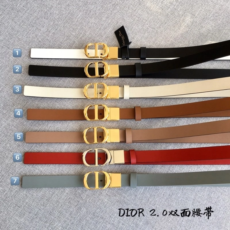 ZipUp Christian Dior Belts 284480