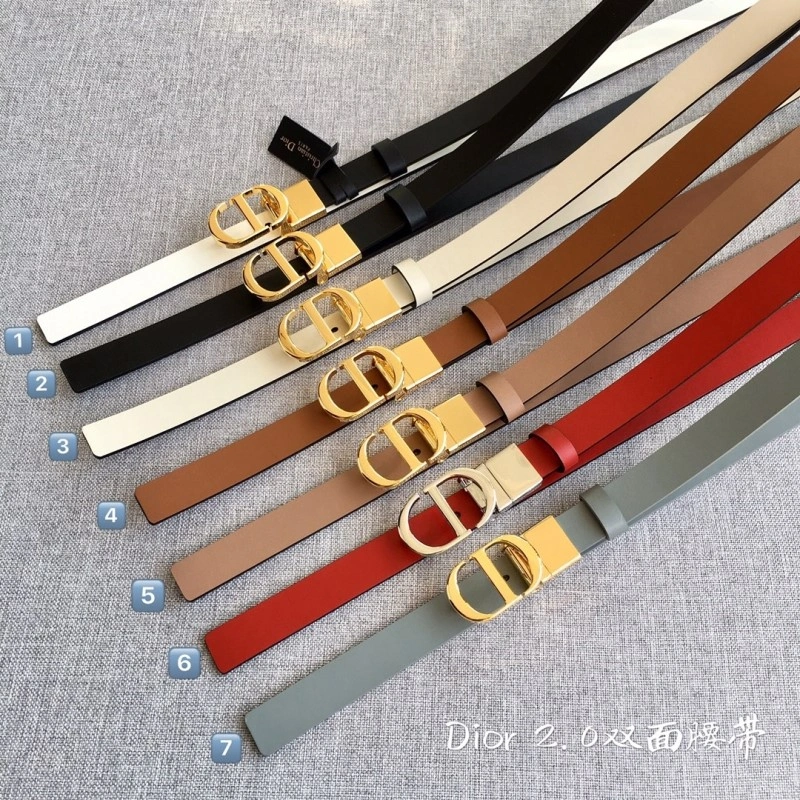 ZipUp Christian Dior Belts 284480
