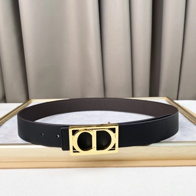 Christian Dior Belts WeatherProof 284454