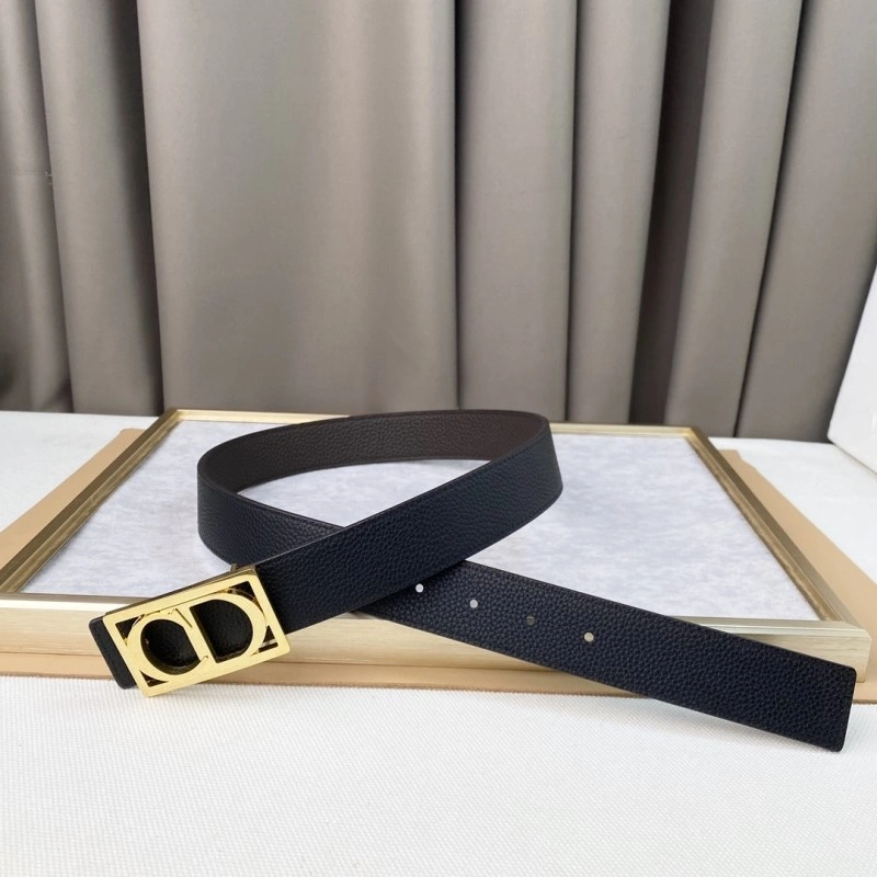 Christian Dior Belts WeatherProof 284454