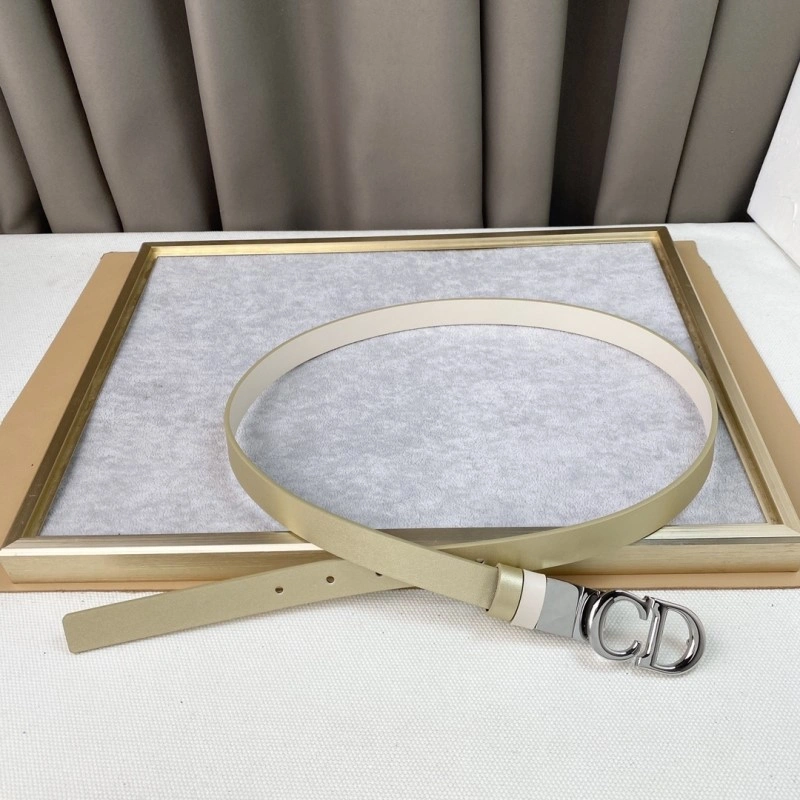 Christian Dior Belts Popular 284445