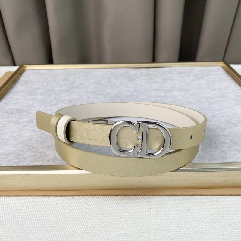 Christian Dior Belts Popular 284445