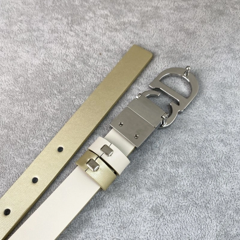 Christian Dior Belts Popular 284445