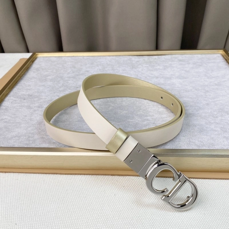 Christian Dior Belts Popular 284445