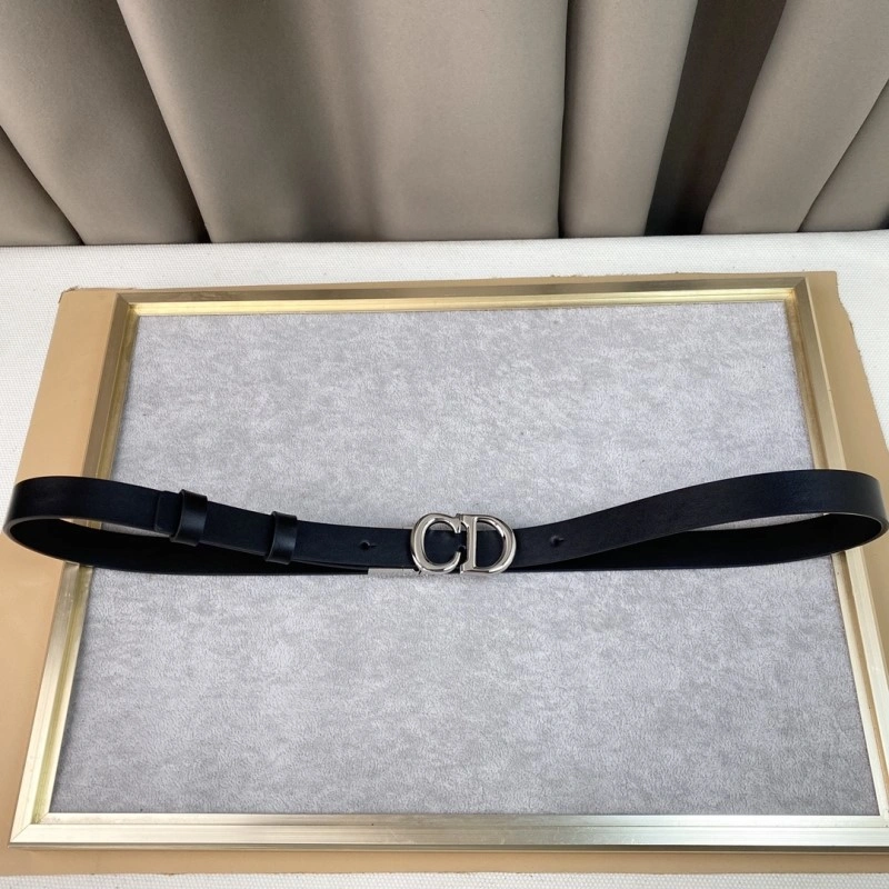 Christian Dior Belts Modern 284441