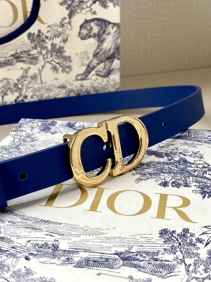 Thermal Christian Dior Belts 284436