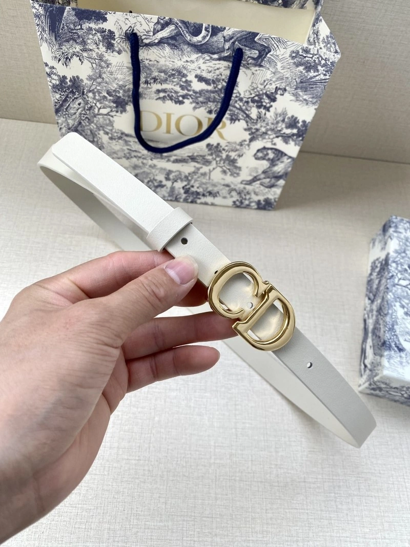 Christian Dior Belts Packable 284434