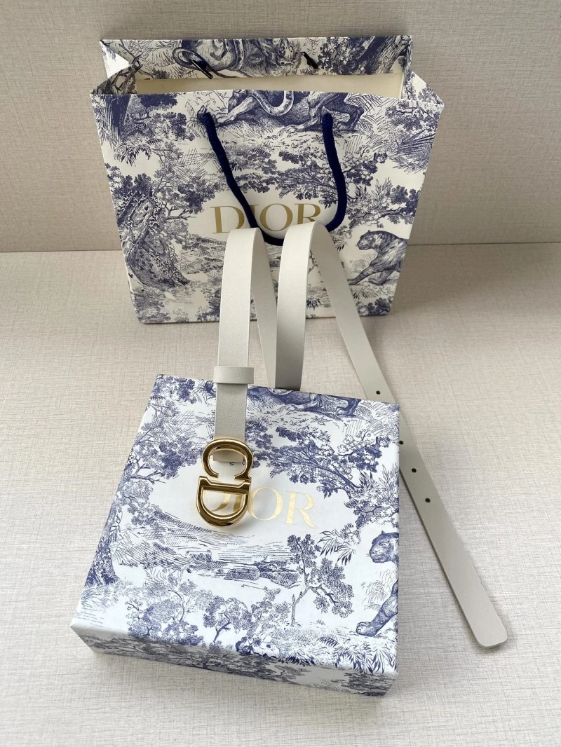 Christian Dior Belts Packable 284434