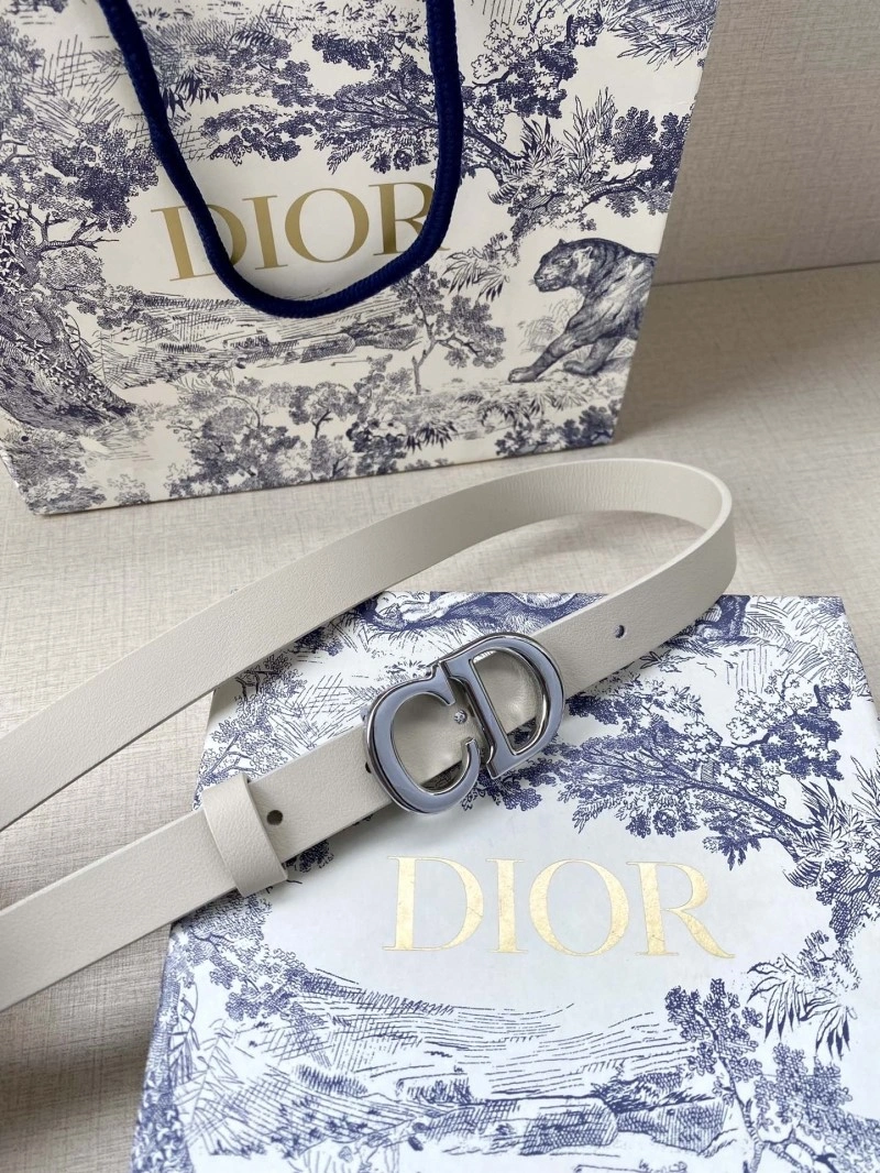 Christian Dior Belts Packable 284434