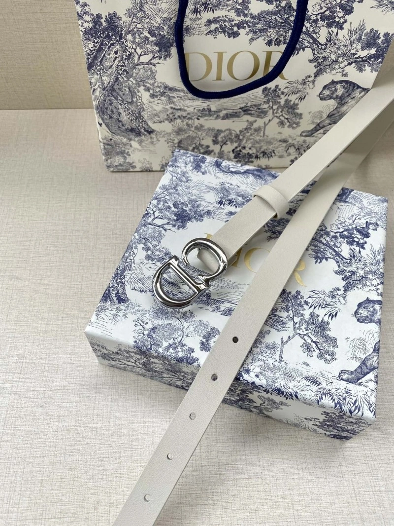 Christian Dior Belts Packable 284434
