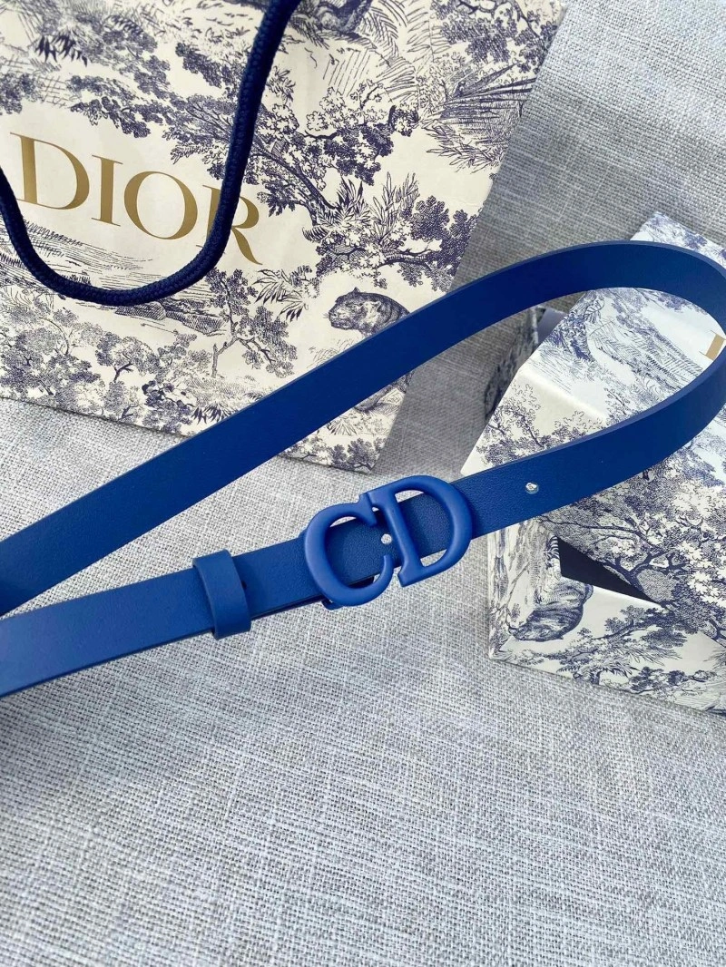 EyeCatching Christian Dior Belts 284433