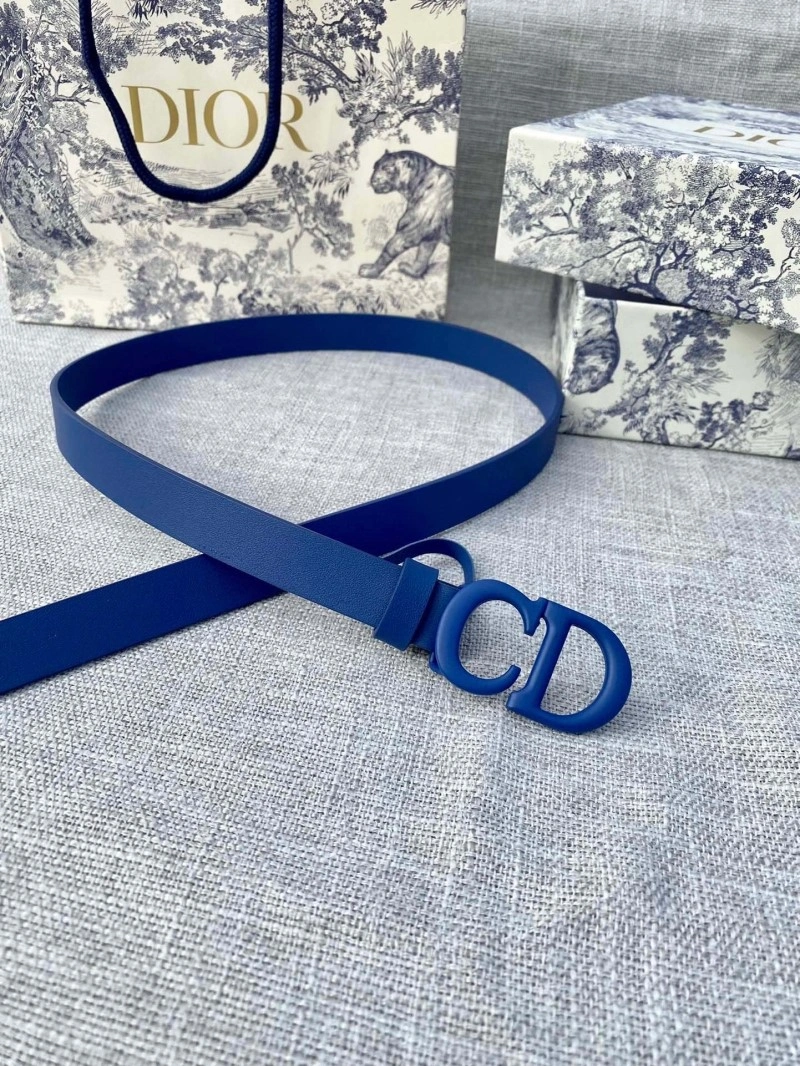 EyeCatching Christian Dior Belts 284433