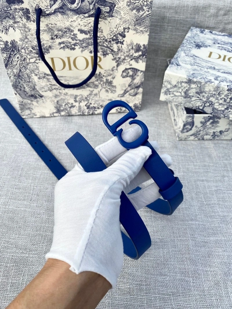 EyeCatching Christian Dior Belts 284433