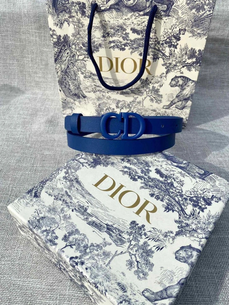 EyeCatching Christian Dior Belts 284433