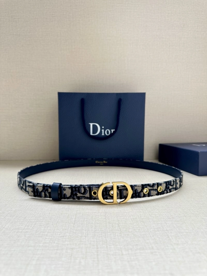 Stylish Christian Dior Belts 284404