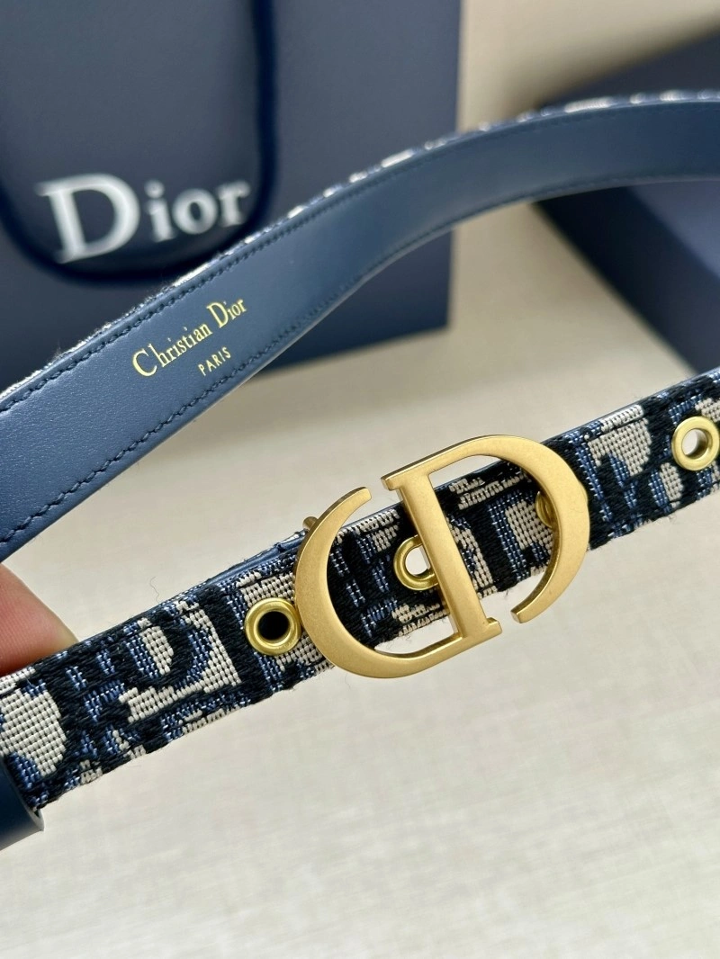 Stylish Christian Dior Belts 284404