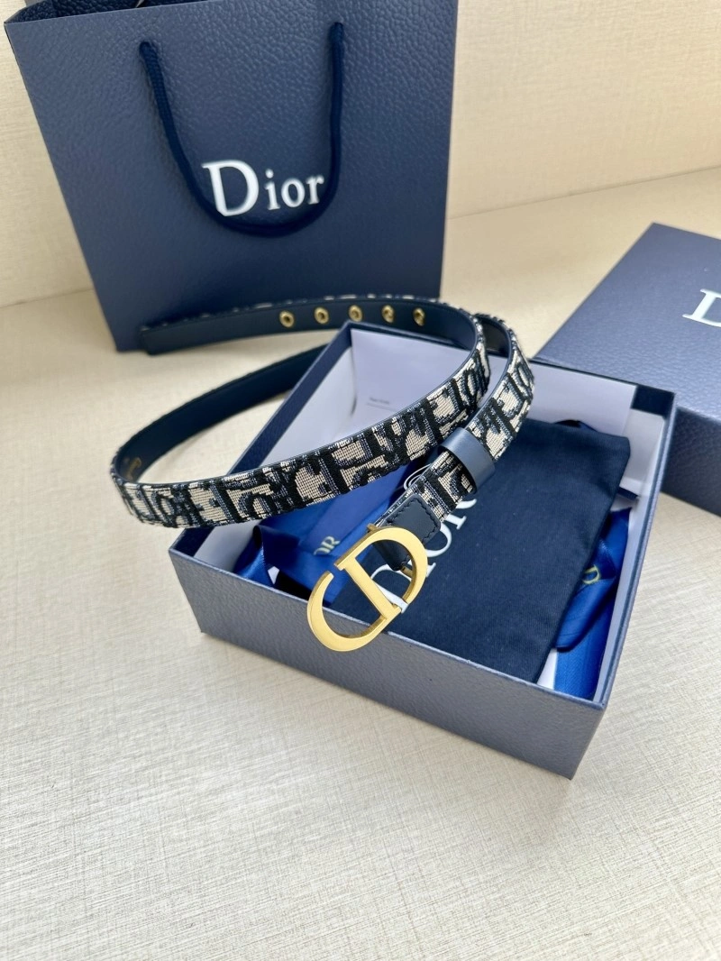 Stylish Christian Dior Belts 284404
