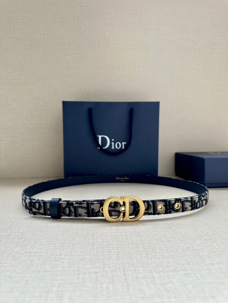 Christian Dior Belts Neat 284415