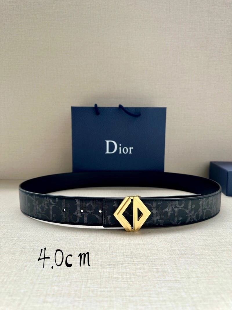 ZipUp Christian Dior Belts 284414