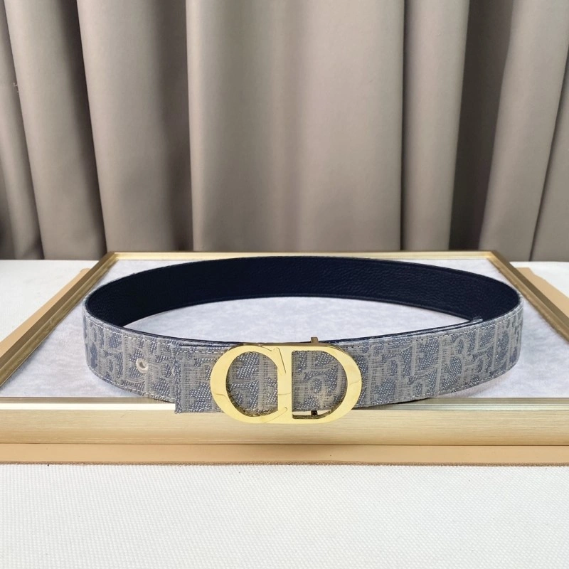 Christian Dior Belts Resilient 284401