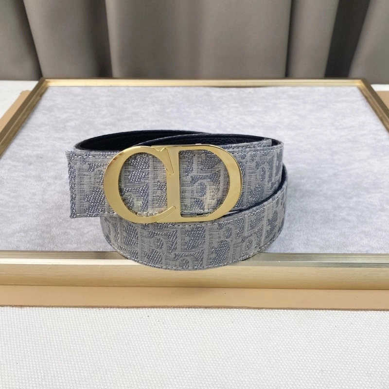 Christian Dior Belts Resilient 284401