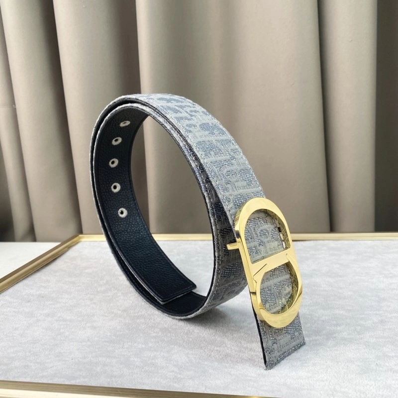 Christian Dior Belts Resilient 284401