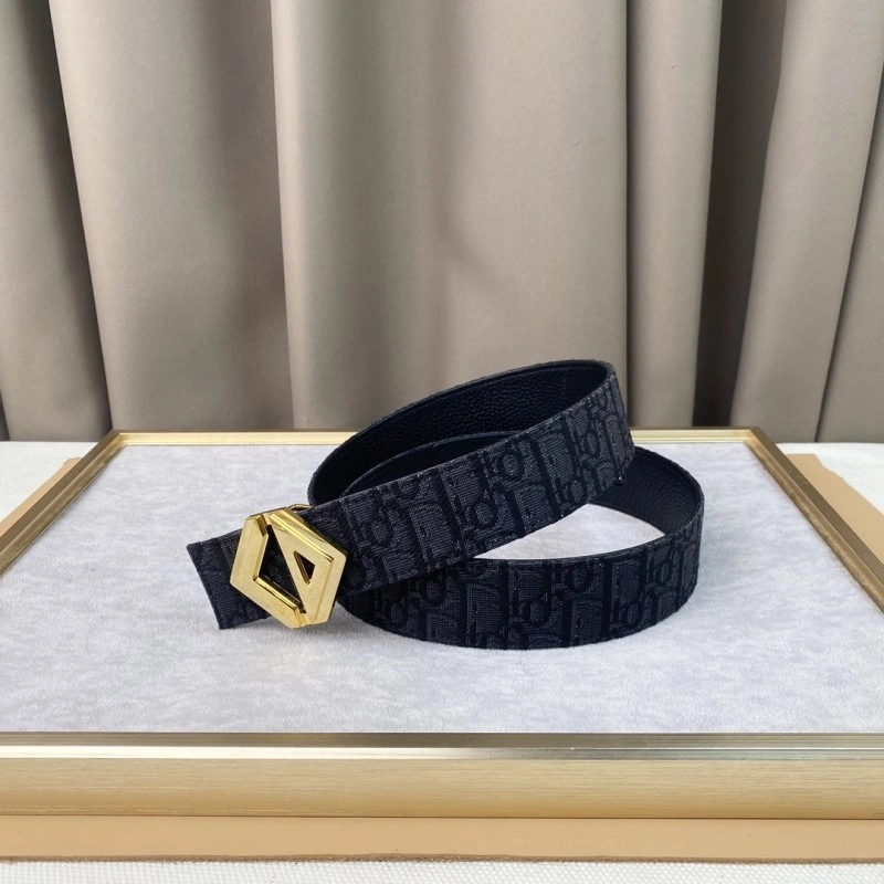 Christian Dior Belts Neat 284396