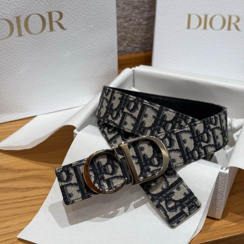 SmoothTexture Christian Dior Belts 284370