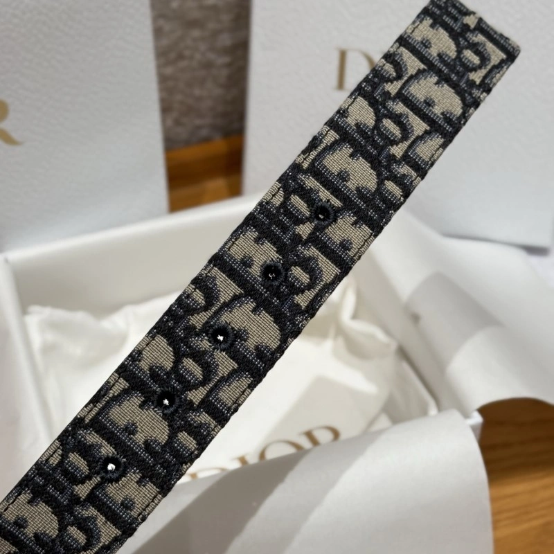 SmoothTexture Christian Dior Belts 284370