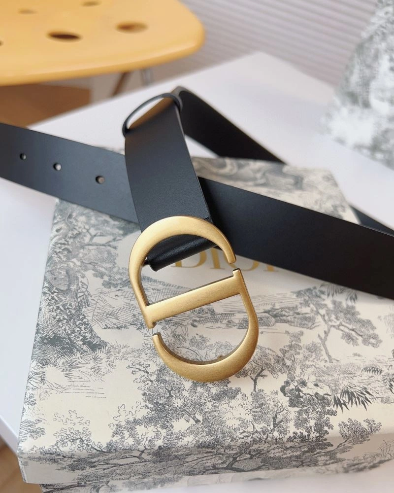 Christian Dior Belts Resilient 285203