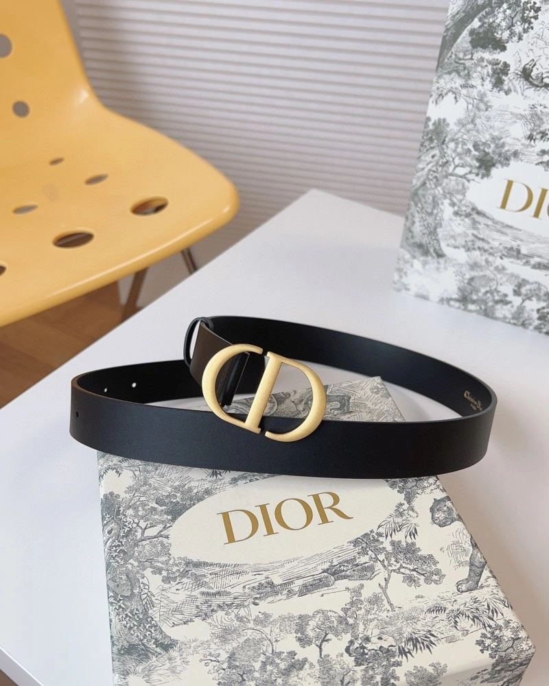 Christian Dior Belts Resilient 285203