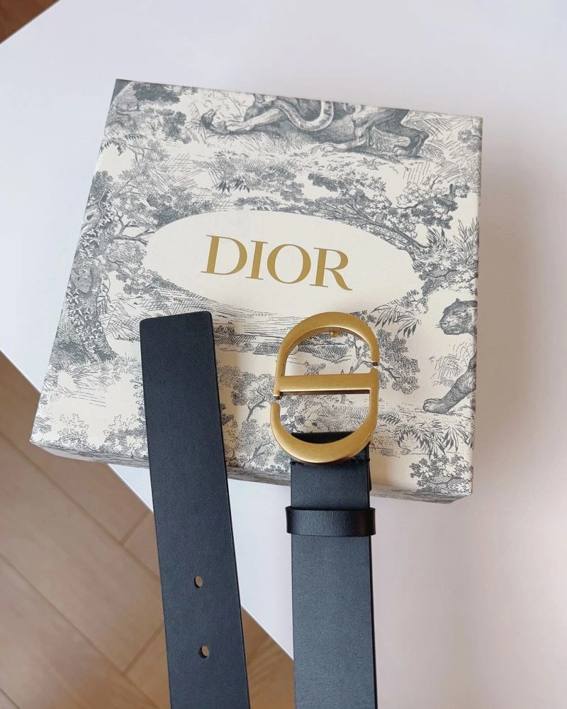 Christian Dior Belts Resilient 285203