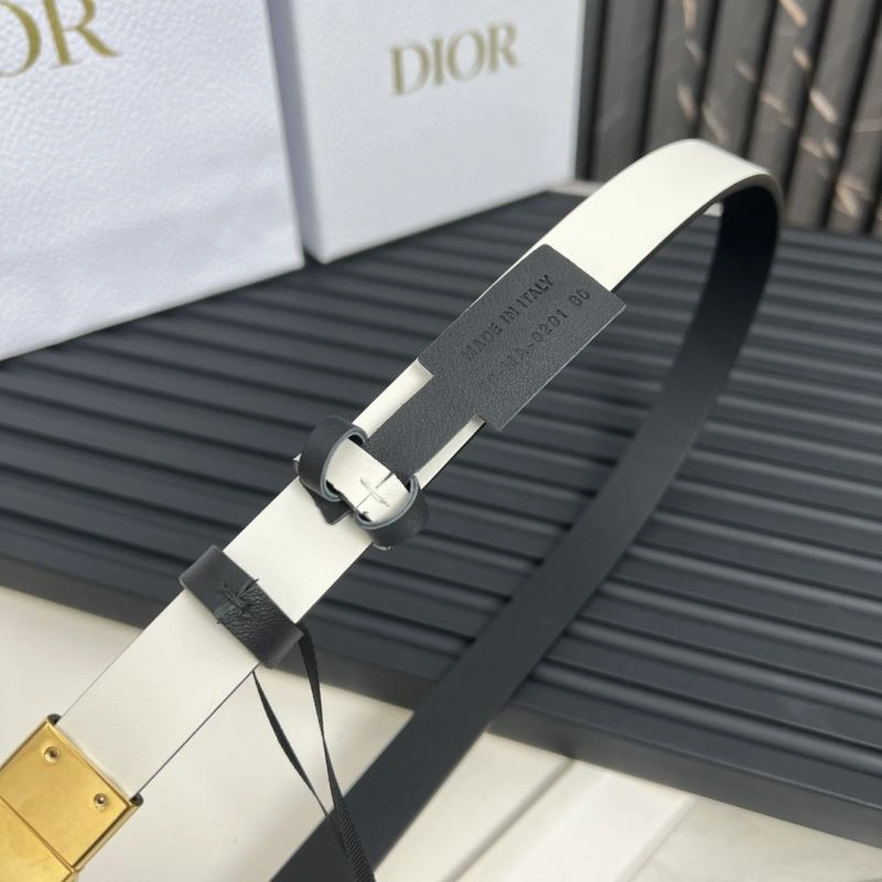 Christian Dior Belts UrbanStyle 285179