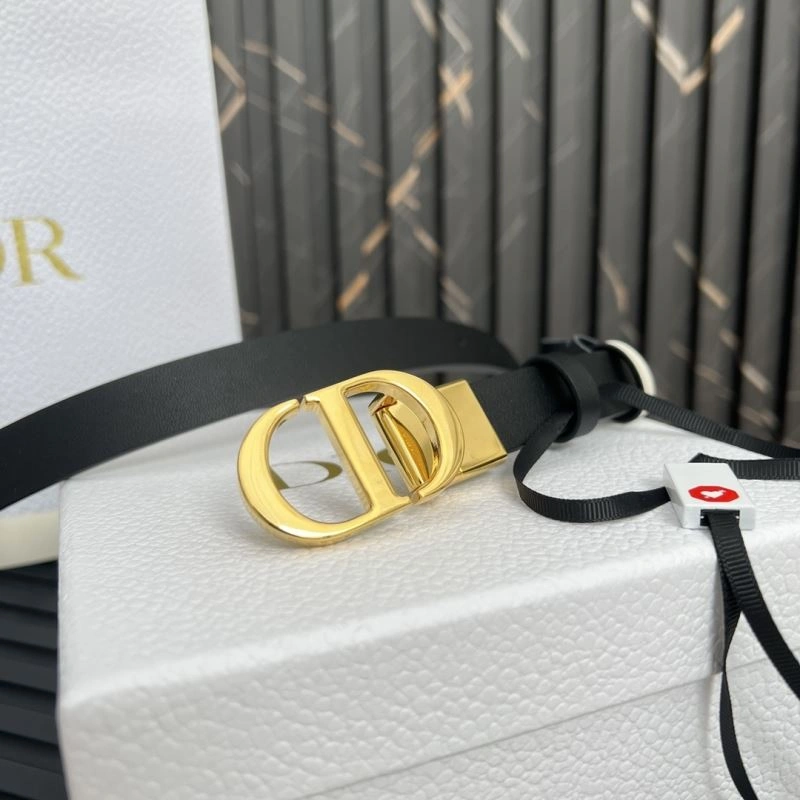 Christian Dior Belts UrbanStyle 285179