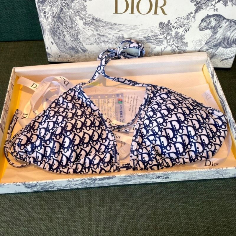 Premium Christian Dior Bikins 256103