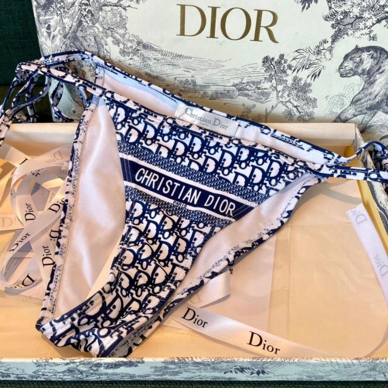 Premium Christian Dior Bikins 256103
