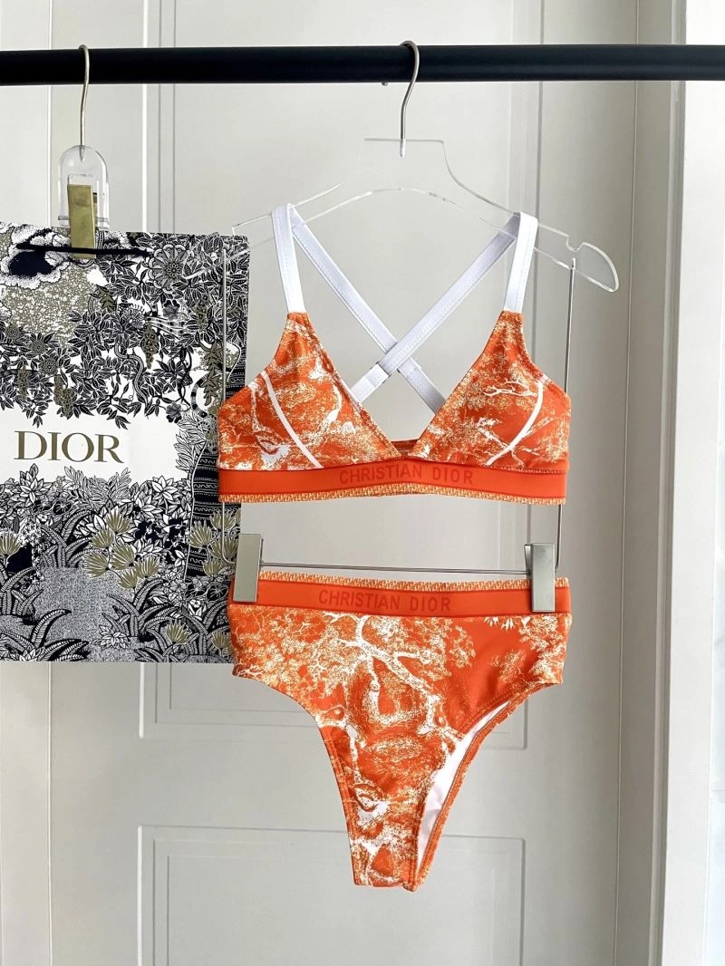 WellDesigned Christian Dior Bikins 255919