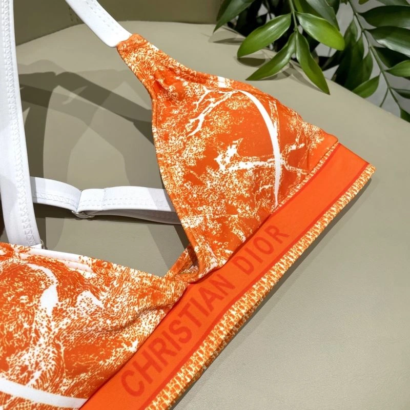 WellDesigned Christian Dior Bikins 255919