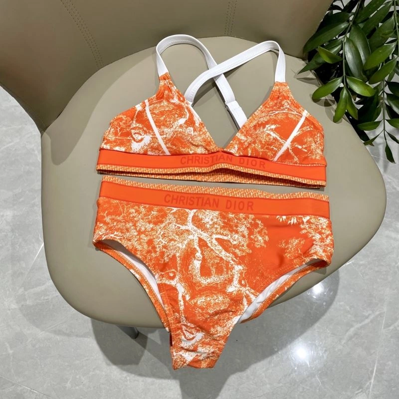 WellDesigned Christian Dior Bikins 255919