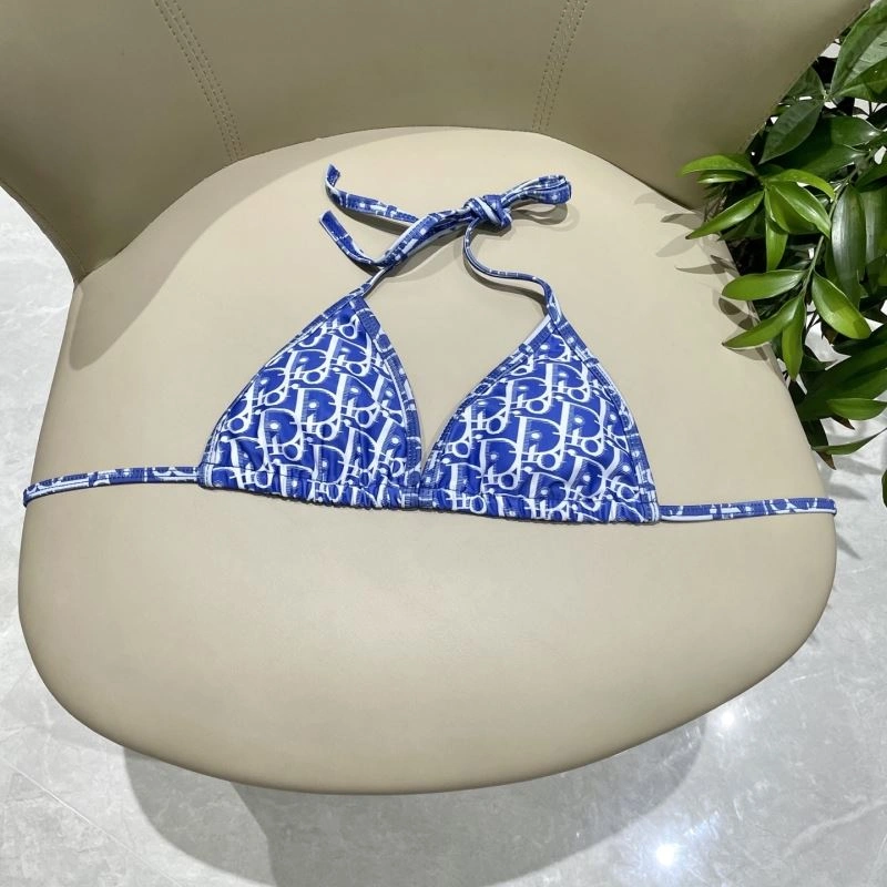 Christian Dior Bikins GoAnywhere 256314