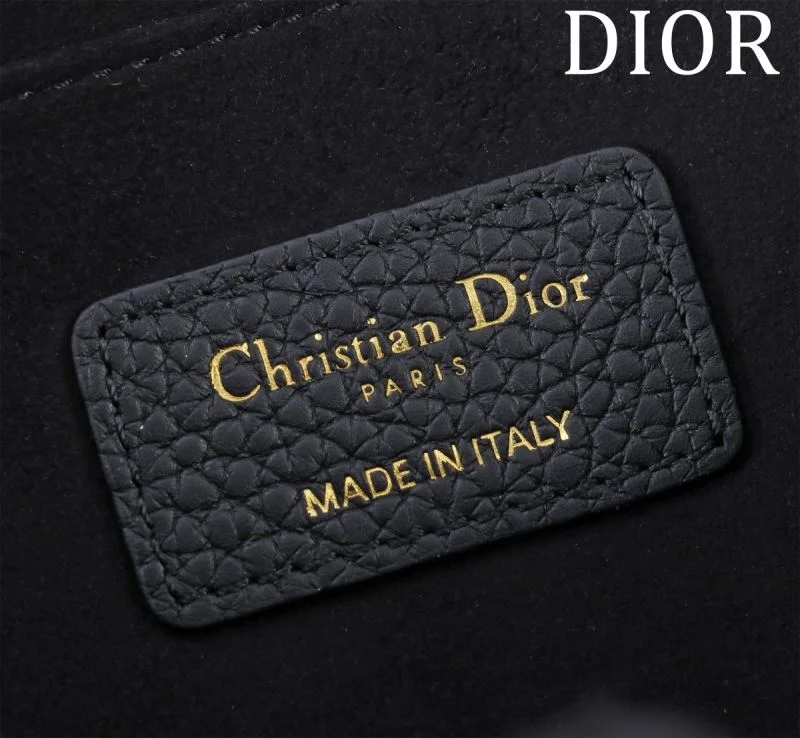 Christian Dior Bobby Bags Resilient 47674